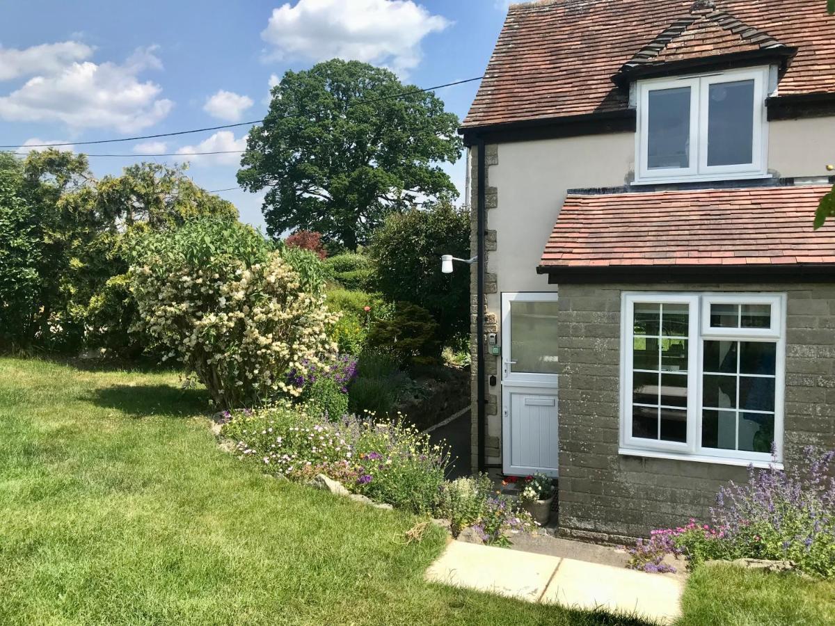 Charming Modernized Country Cottage Near Mere, Wiltshire Mere  Exteriör bild