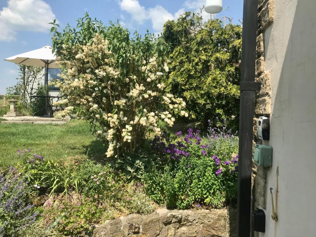 Charming Modernized Country Cottage Near Mere, Wiltshire Mere  Exteriör bild